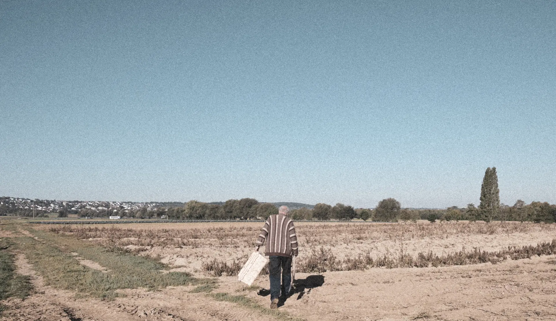 Farmer carrying a crate across the harvested potato field